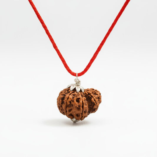 Brown rudraksha pendant on a red string against a white background